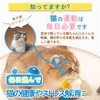 SONGWAY Cat Teaser Mouse Toy Popular Mouse Relieves Lack of