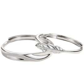 Nicoiro NSPR119 Pair Wings Made by S925, Matching Couple, Metal