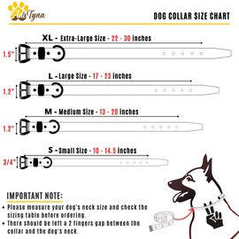 ADITYNA Heavy Duty Leather Dog Collar for Medium Dogs - Soft and Strong Leather Collar for Walking, and Training (Black - Gold Colored Buckle, Medium: Fit 13" - 20" Neck)