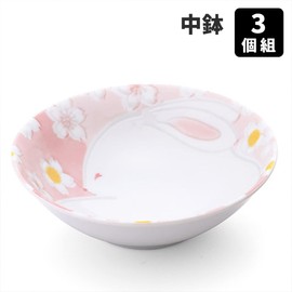 Kanese Mino Ware Flower Rabbit Medium Pot (Set of 3)
