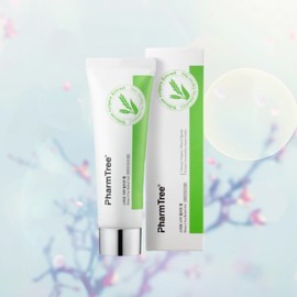 PALMTREE Olive Young Palm Tree Stimo Cica Relief Gel 80ml / 올리브영 팜트리 스티모 시카 릴리프 젤 80ml