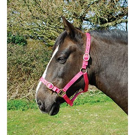 Rhinegold Nylon Headcollar - Cob - Raspberry