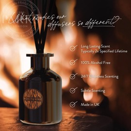 Parks London Nocturne Pomegranate Noir Luxury Reed Diffuser, 100mL – Dark Pomegranate, Berries & Noir Woods, Long Lasting Scent