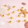 WEWAYSMILE 50 Pcs Animal Resin Figurines - Mini Resin Ducks
