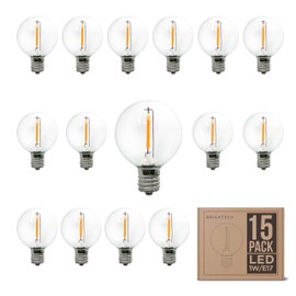 Brightech Ambience PRO Replacement LED Light Bulbs, Plastic 1 Watt LED Edison-Inspired Exposed Filaments Bulbs, G40/G45 Energy Efficient Outdoor String Lights Bulbs - 15 Pack