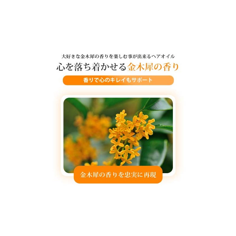 Mummy Coral Hair Treatment Oil, 2.4 fl oz (65 ml)