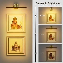Denlead Picture Lights for Wall, 16.5" LED Wall Lights with Remote, Adjustable Color (2700K-6500K) and Dimmable, Timer, Hardwired Connection, Gallery Art Light for Paintings, Brass
