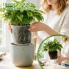 16 Pack 12/10/8/6 Inch Clear Nursery Pots with Drainage, Large