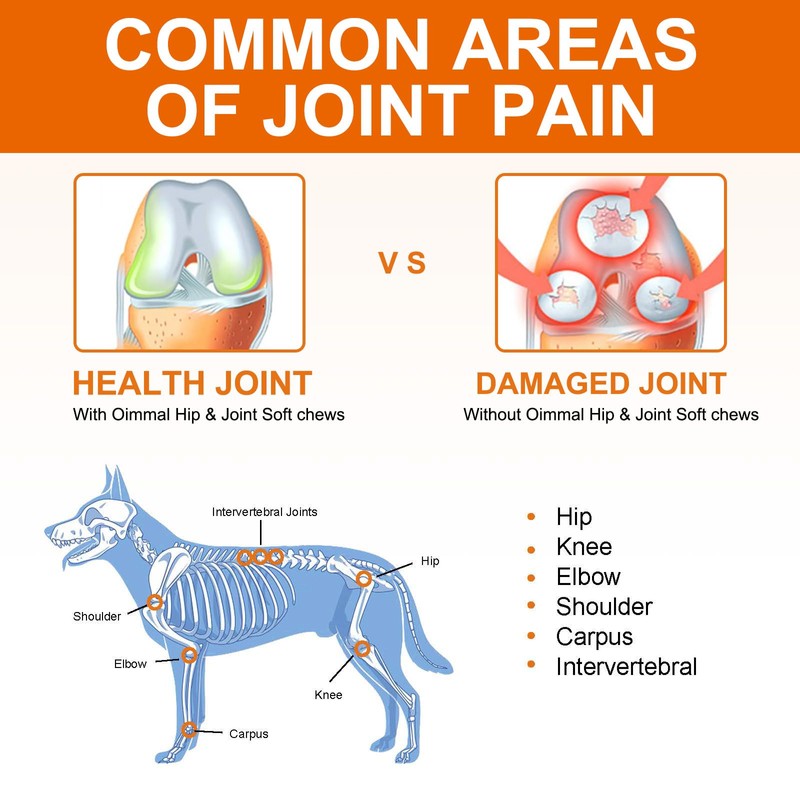 BODY JUICE OIL Joint Supplement for Dogs, Dog Joint Supplements
