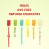 Gummy Bears Bulk Bag Dye Free Candy, Halal Gummies Fruit