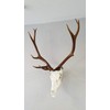 Top Rack: European Skull Mount Hangers Trophy Buck: Deer, Raging