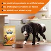 Nature's Recipe Dry Dog Food, Chicken, Barley & Brown Rice