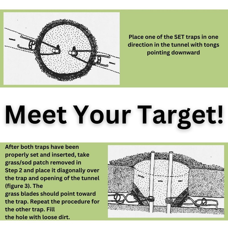 NoMol® Mole Trap by Wildlife Control Supplies – Wire Tong