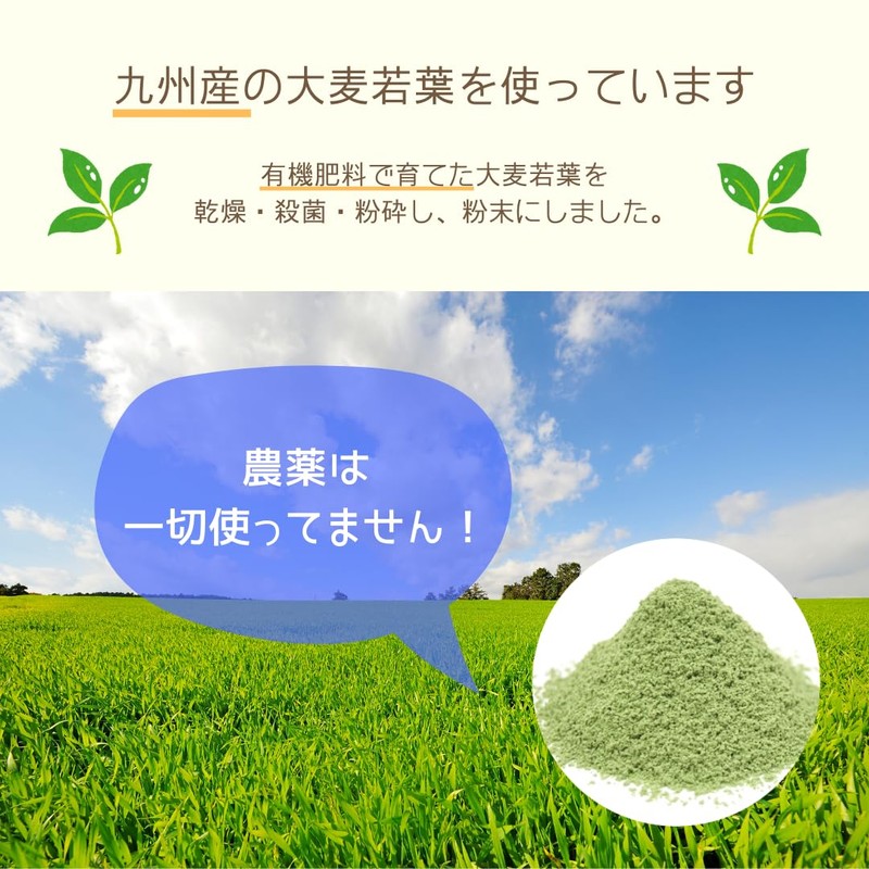 SALBEL 【菌活サポート】 酪酸菌入り 青汁 粉末 30包 九州産 大麦若葉 香料 着色料