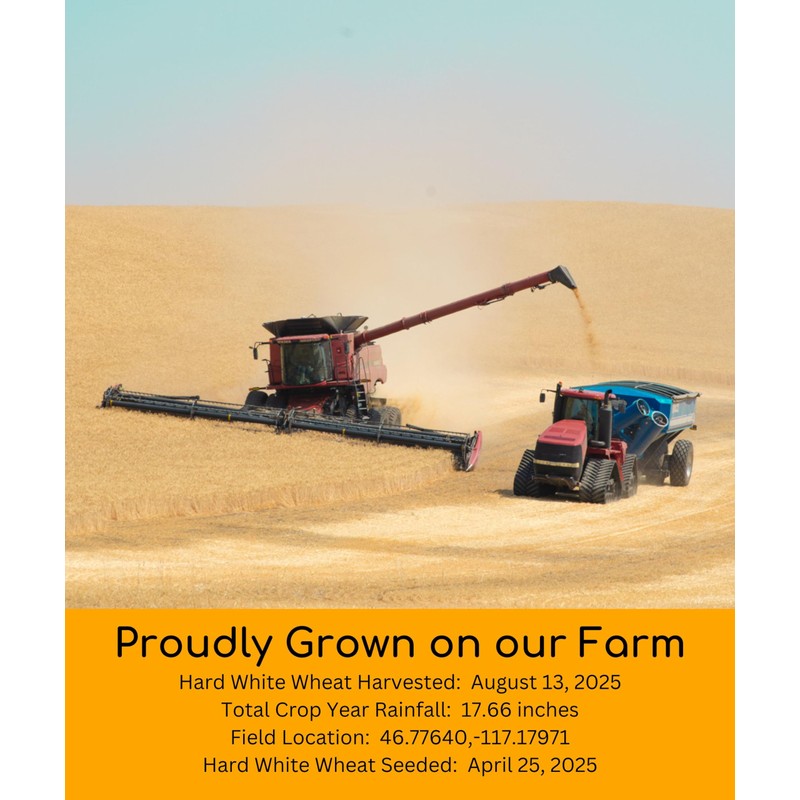 Palouse Brand Certified Glyphosate Residue Free Hard White Wheat Berries