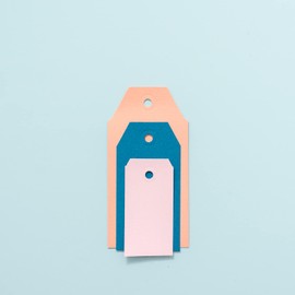 We R Memory Keepers 60000038 3-in-1 Angled Tag 3-in-1 Punch We R Angled Label, Metal, Plastic, White/Opulent Garden