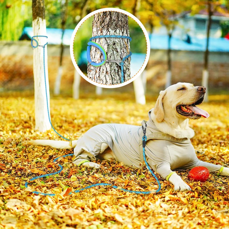 Long Dog Leash for Dog Training 10FT/15FT/20FT/30FT/40FT/50FT/100FT Reflective Leash with