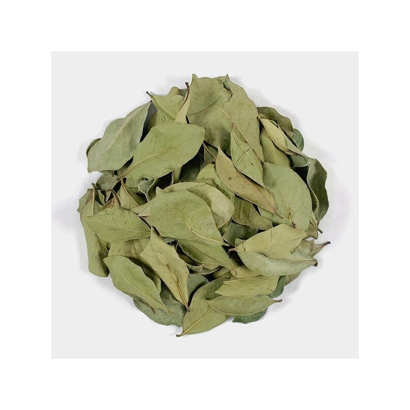 국산 구아바 구아바잎 100g 구아바나무잎 Korean Guava Leaf 100g Guava