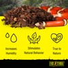 Exo Terra Forest Bark Natural Terrarium Substrate, 4 Quarts, PT2750