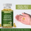 Graviola Capsules 1000mg 120 Pills Pure Natural Soursop Capsules Leaves