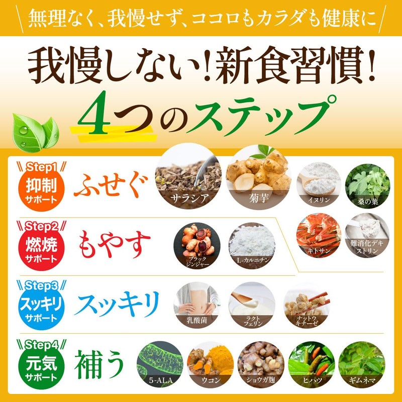 santelife サラシア16200 サラシア イヌリン 難消化デキストリン 桑の葉 ウコン 菊芋 乳酸菌 ナットウキナーゼ