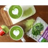 Té Verde Matcha en Polvo Mocafe 1.36kg Antioxidante Alto en