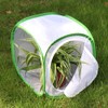Insect and Butterfly Habitat Cage Terrarium Pop-up 12 X 12