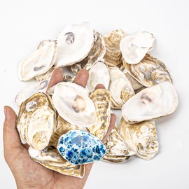 20PCS Flat Oyster Shells 2"-3" Small Oyster Shells for Crafts Natural Oyster Shells Bulk, for Home Vase Filler, Xmas Ornaments, DIY Arts and Crafts Sea Shells