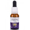 Living Essences Red & Green Kangaroo Paw 15ml
