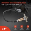 A-Premium Sonda Lambda compatible con Toyota Sienna 2001 2002 2003,