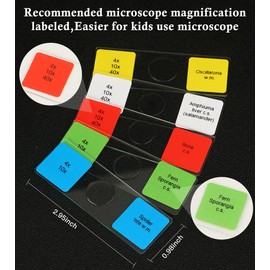 DIY-SCIENCE Microscope Slides for Kids Ages 11+, 120 Prepared Microscope Slides with Specimens of Animals Plants Microbe Cells Tissue Anatomy, Customized Prepared Slides for 6th Grade Up High School University