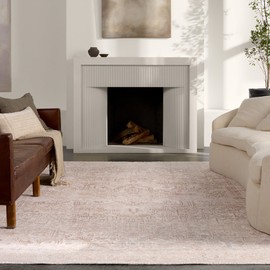 Jaipur Living Machine Washable, Vintage 6x9 Area Rug, Boho, Tan and Cream, Living Room Rug, Bedroom Rug