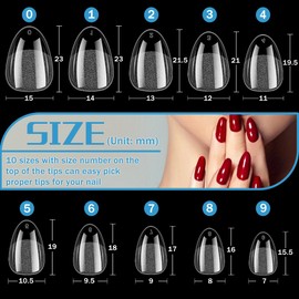 Kurze Almond Nageltips,504 Stück Gel Full Cover Short Mandel Nagelspitzen,Vorpolierte Harz Kunstnägel Acryl Nail Tips Tips für Gelnägel,für DIY-Nagelkunst und Nagelstudios,10 Größen