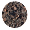 Nature Plants Clean and Rejuvenate Just by Gaining Your House