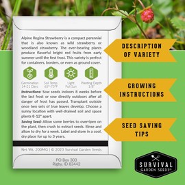 Alpine Regina Strawberry Seed for Planting - 2 Packets with Instructions to Plant & Grow Wild or Woodland Strawberries in The Home Vegetable Garden - Non-GMO Heirloom Variety - Survival Garden Seeds