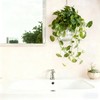 OQUQO 4 pcs Glass Wall Hanging Planter, Oval Terrarium Vase,
