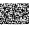 Alpha Nanotech Colloidal Silica Nanoparticles (1000 nm, 10 ml, 10