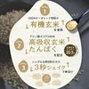 Nature Protein 玄My ライスプロテイン (黒糖)