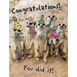Piccadilly Greetings Humour Occasion Card Congratulations - 8 x 6 inches, beige|brown|yellow|black