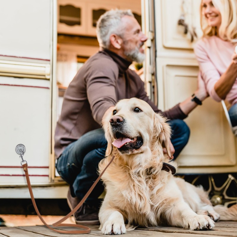 Surface Mount D-Ring Tie-Down Anchor Rope Ring for RV Furniture,