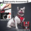 WINSEE Pet Harness Collar and Leash Set, All-in-one Reflective Dog