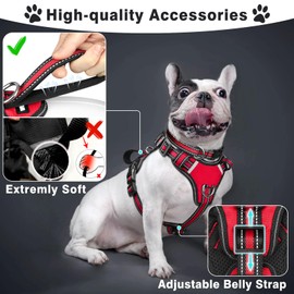 WINSEE Pet Harness Collar and Leash Set, All-in-one Reflective Dog Harness No Pull with Adjustable Buckles for Puppies, Small, Medium, Large, and Extra-Large Dogs (Small, Red)