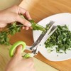 5-Blade Stainless Steel Herb Scissors for Kitchen Food Prep –