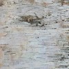 Wilson Birch Bark (12" x 12" 2 Pack)