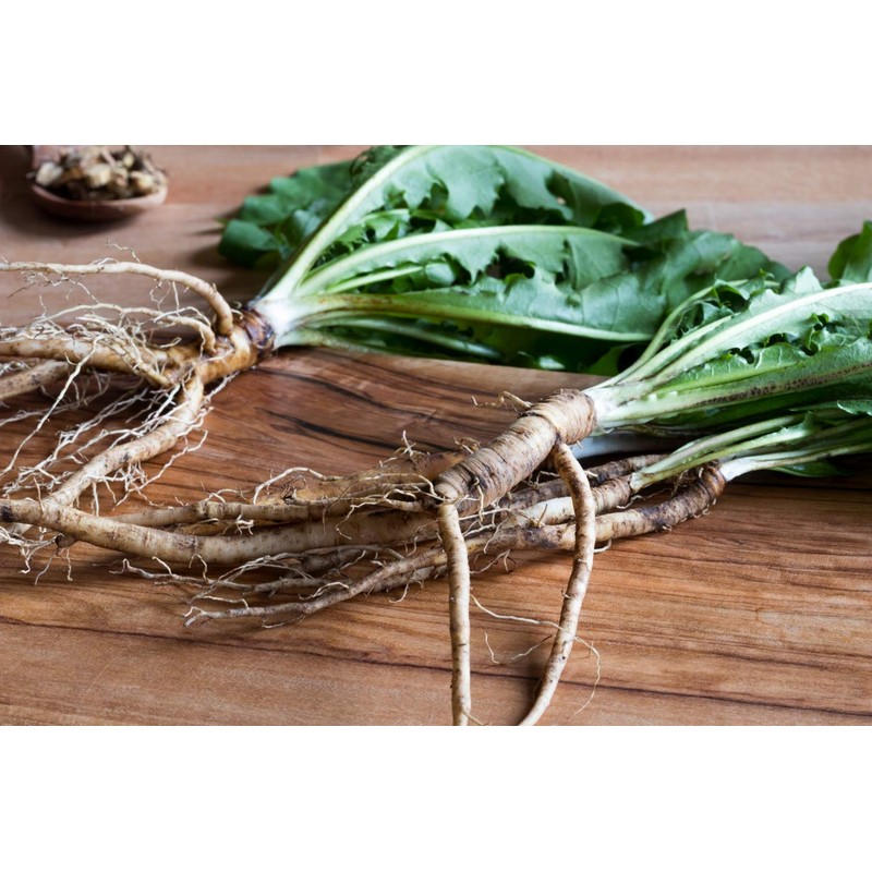 Health Embassy Dandelion Root | Taraxacum Officinale L | Herbal