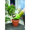 Spear & Jackson 370S7KEW Kew Gardens Collection Multi-Purpose Gardening Gloves,