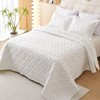 EVENHUG King Size Quilt Bedding Sets with Pillow Shams Soft