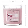 Colonial Candle Pink Cherry Blossom Scented Jar Candle, 2 Wick,