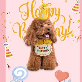 Dog, Birthday Goods, Dog, Birthday, Dog, Birthday Hat, Cat Birthday Gift, Birthday Gift, Set of 2, Dog Birthday, Bib, Gift, Pet Hat, Christmas Gift, Pet Clothes, Decoration, Birthday Goods, Towel,