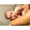 Skin Unique Mediterranean Natural Sea Sponge in Gift Box -